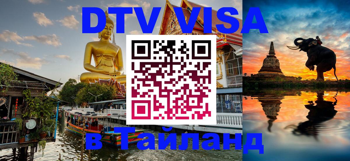 Оформление DTV визы под ключ: стоимость и тарифы, только загранпаспорт - 